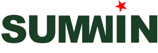 vnsumwin.net Logo
